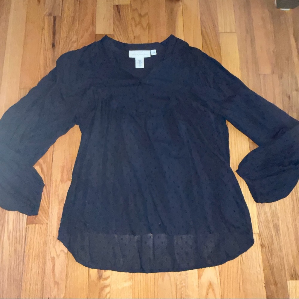 H&M Navy Sheer Blouse